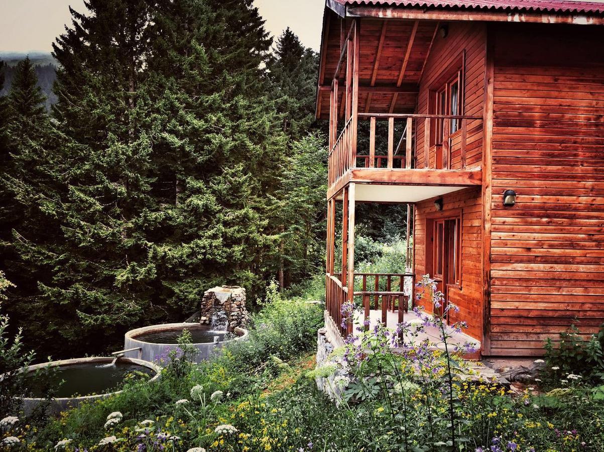 Zitas Zigana Yayla Tatil Koyu Macka Exterior foto